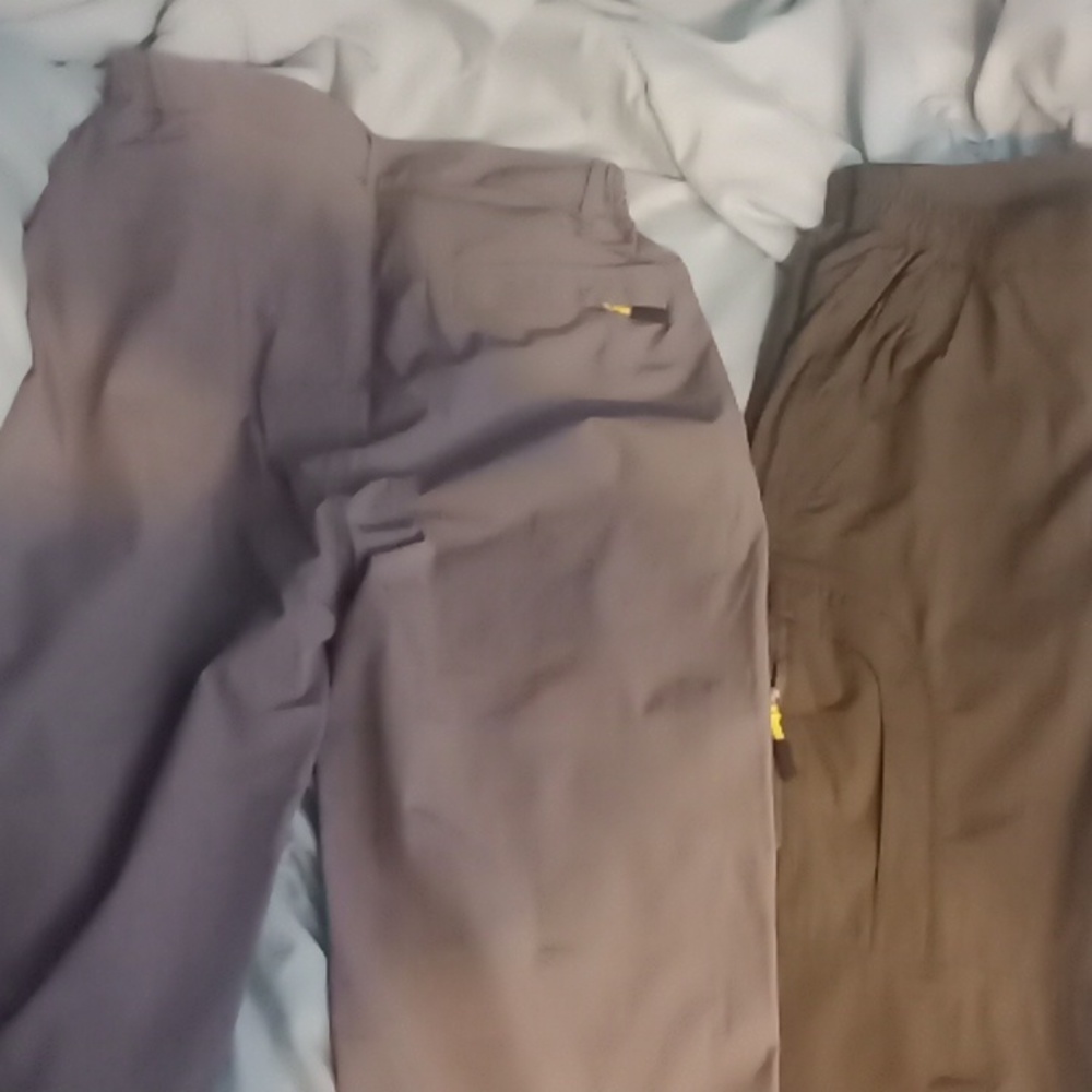 Capris - Picture 2 of 2